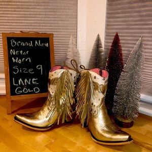 Junky Gypsy size 9 LANE boots. Brand New with box, only tried on once.